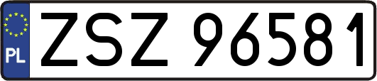 ZSZ96581