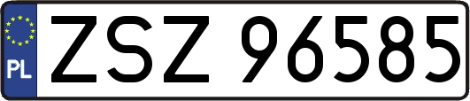 ZSZ96585