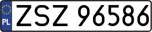 ZSZ96586