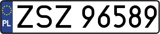 ZSZ96589