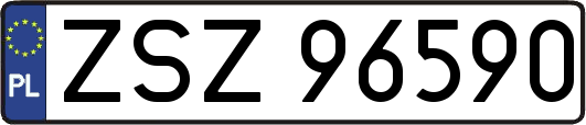 ZSZ96590