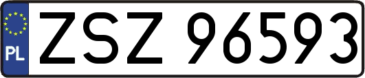 ZSZ96593