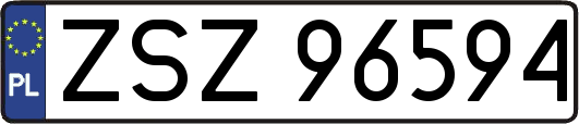 ZSZ96594