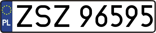 ZSZ96595
