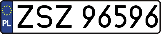 ZSZ96596
