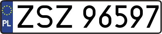ZSZ96597
