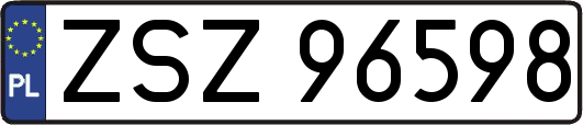ZSZ96598