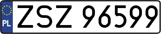 ZSZ96599