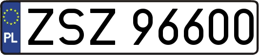 ZSZ96600