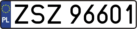 ZSZ96601