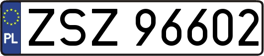 ZSZ96602