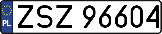 ZSZ96604