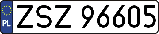 ZSZ96605