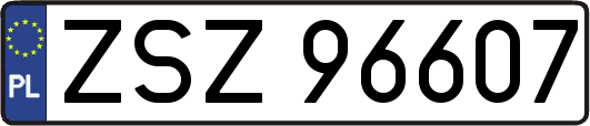 ZSZ96607