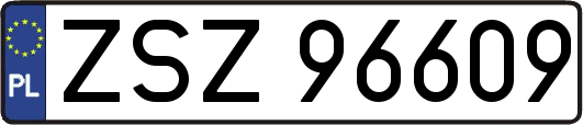 ZSZ96609