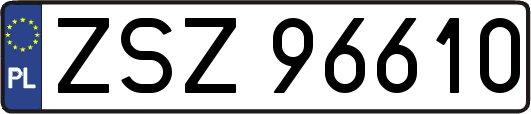ZSZ96610