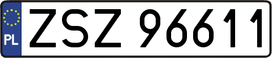 ZSZ96611