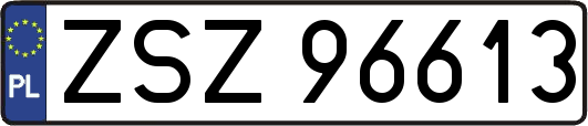 ZSZ96613