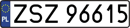 ZSZ96615
