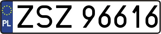 ZSZ96616