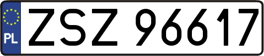 ZSZ96617