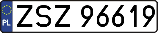 ZSZ96619