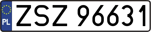 ZSZ96631