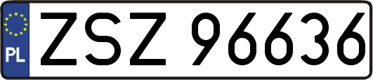 ZSZ96636