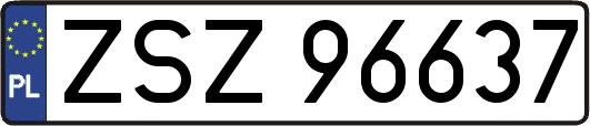 ZSZ96637
