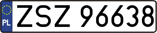 ZSZ96638