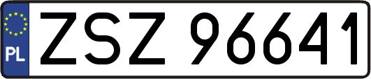 ZSZ96641