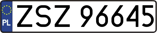 ZSZ96645