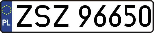 ZSZ96650