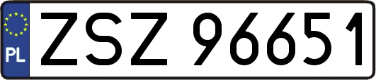ZSZ96651