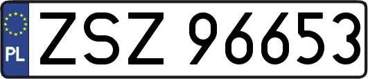ZSZ96653