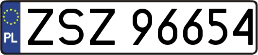 ZSZ96654