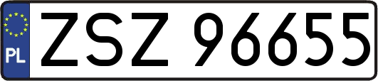ZSZ96655