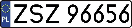 ZSZ96656