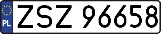 ZSZ96658