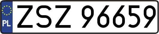 ZSZ96659