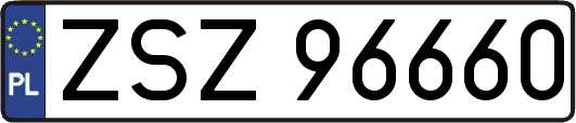 ZSZ96660