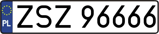 ZSZ96666