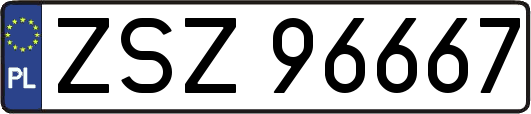 ZSZ96667