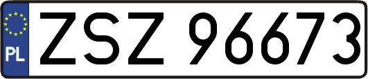 ZSZ96673
