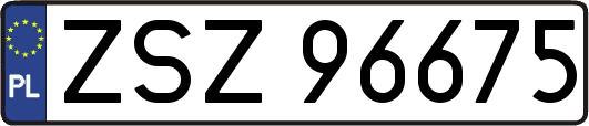 ZSZ96675