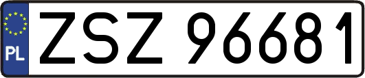 ZSZ96681