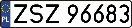 ZSZ96683
