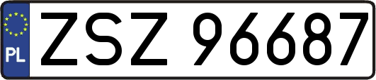 ZSZ96687