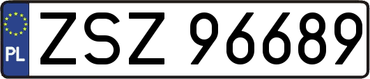 ZSZ96689