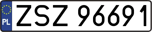 ZSZ96691